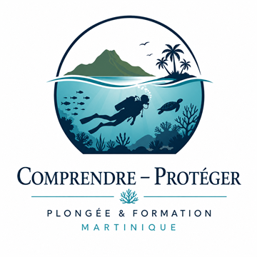 Comprendre - Protéger